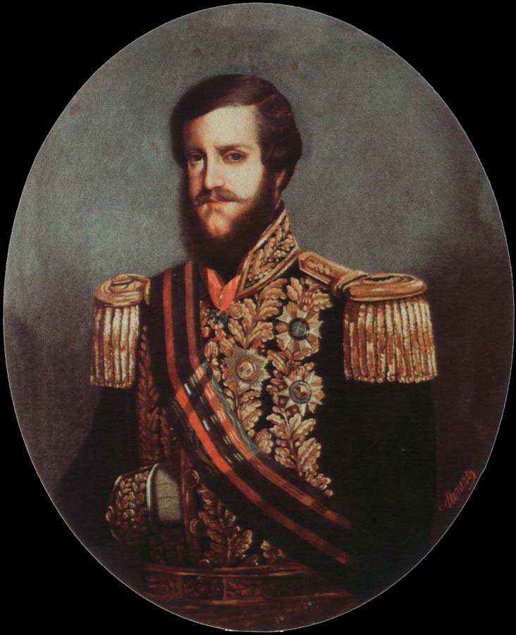 portrait of emperor pedro ll